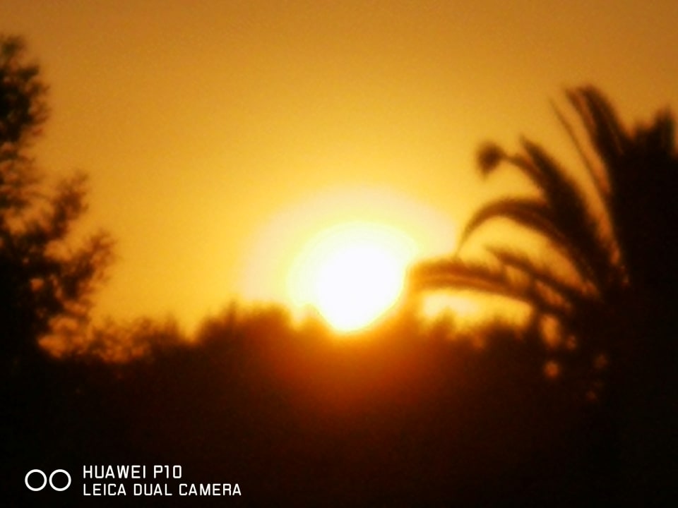 Ausblick Hotel Mariant Park