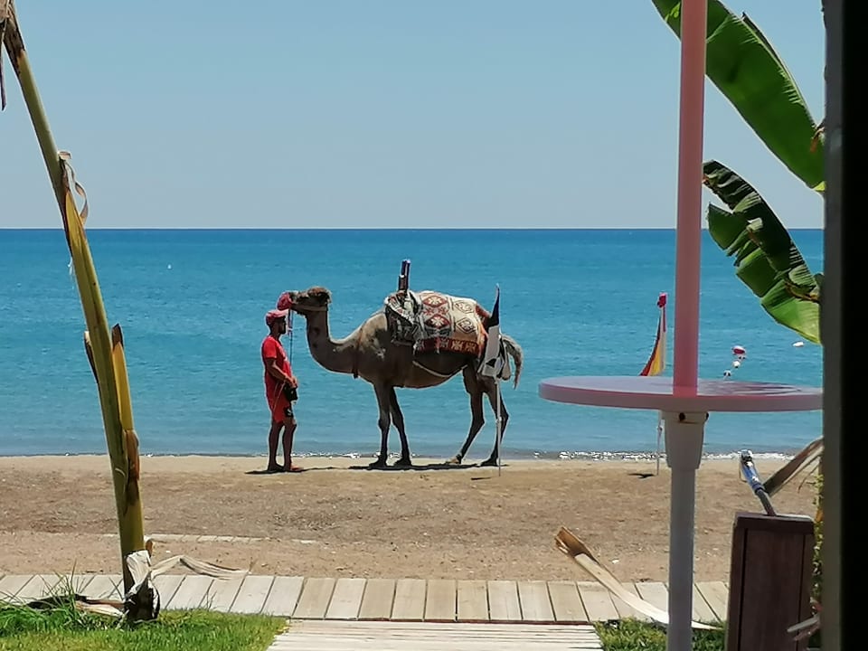 Strand Megasaray Club Belek