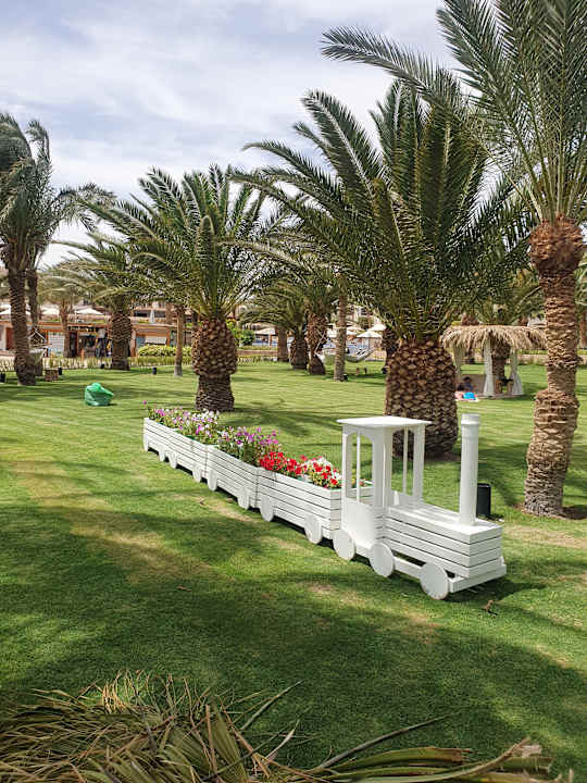 Gartenanlage Fort Arabesque Resort, Spa & Villas