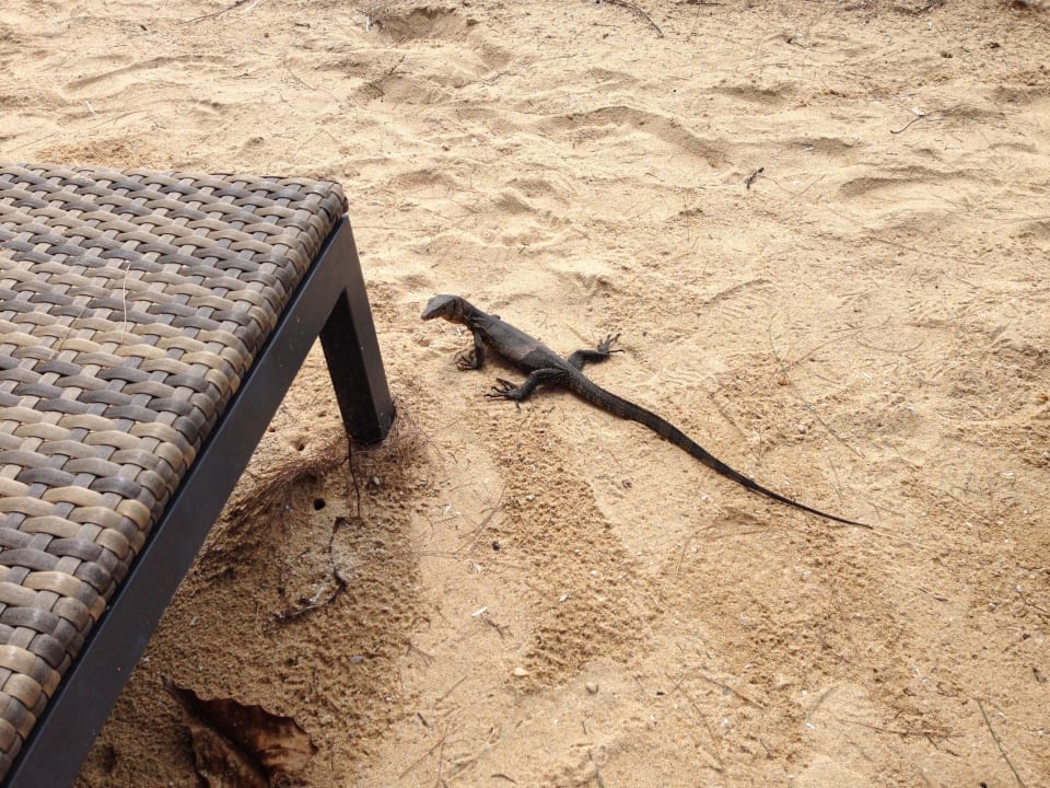 Gäste Moracea by Khao Lak Resort