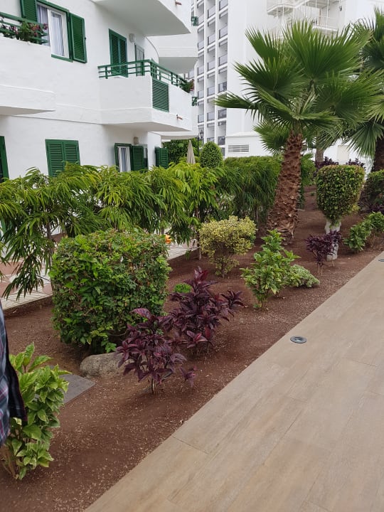Gartenanlage Servatur Playa Bonita