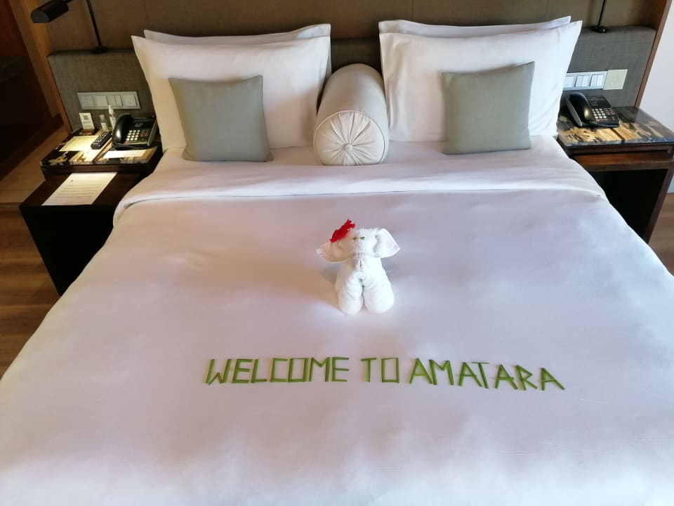 Zimmer Amatara Welleisure Resort