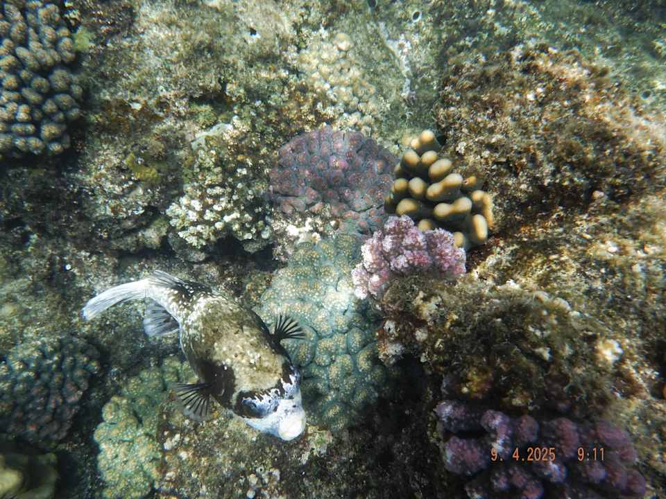 Gartenanlage Casa Mare Resort