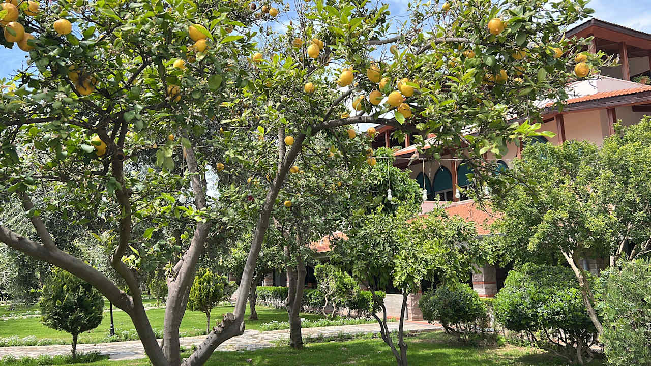 Außenansicht Belconti Resort Hotel