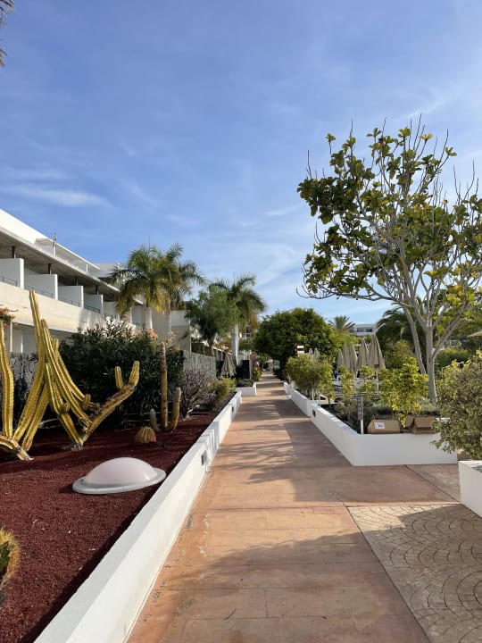 Gartenanlage Hotel Costa Calero