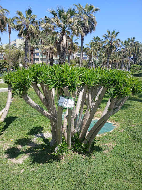 Gartenanlage VONRESORT Golden Beach