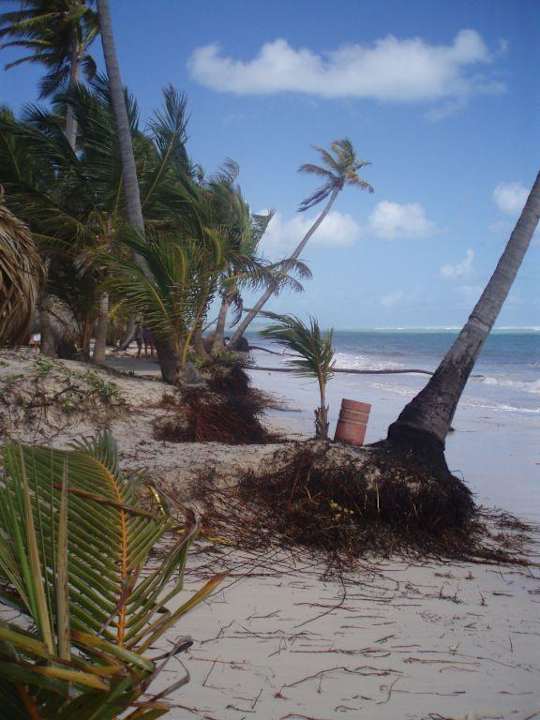 Strand nach dem Sturm 14. Hotel Grand Palladium Palace Resort, Spa & Casino