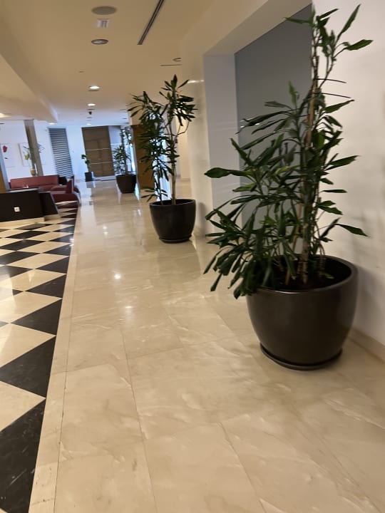 Lobby Hipotels Cala Millor Park