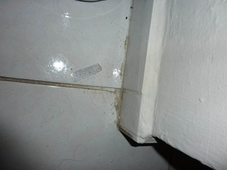 Benutzte Pflaster vom Vorbesitzer Cleopatra King Apart