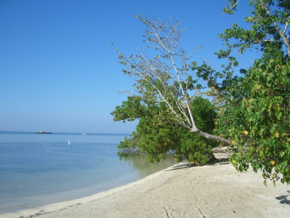 Strand Hotel Riu Negril