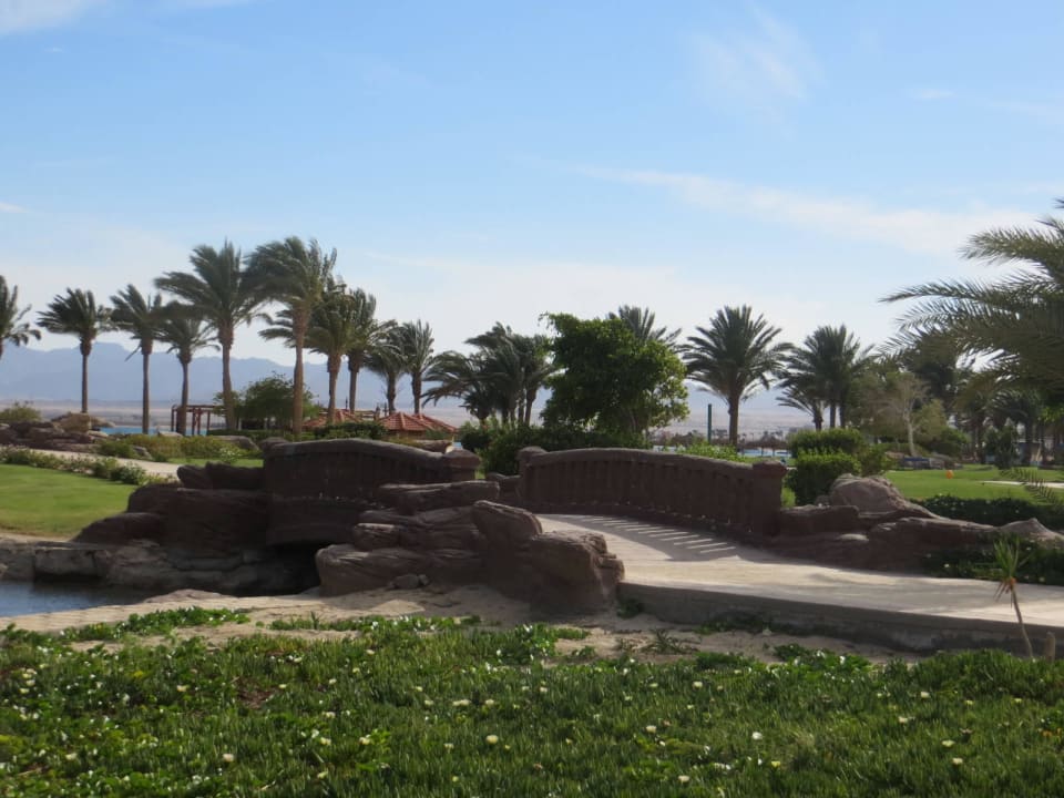 Blick zu den mächtigen Palmen Palm Royale Resort - Soma Bay