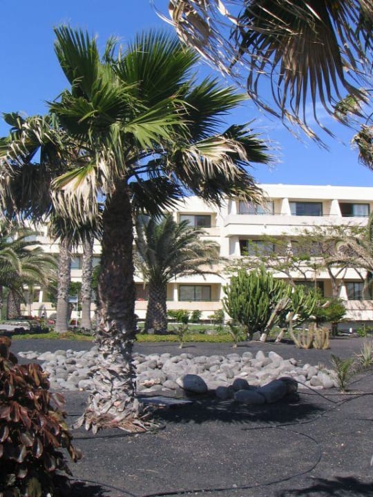 Garten vor den Meerblick-Zimmern Dreams Lanzarote Playa Dorada Resort & Spa