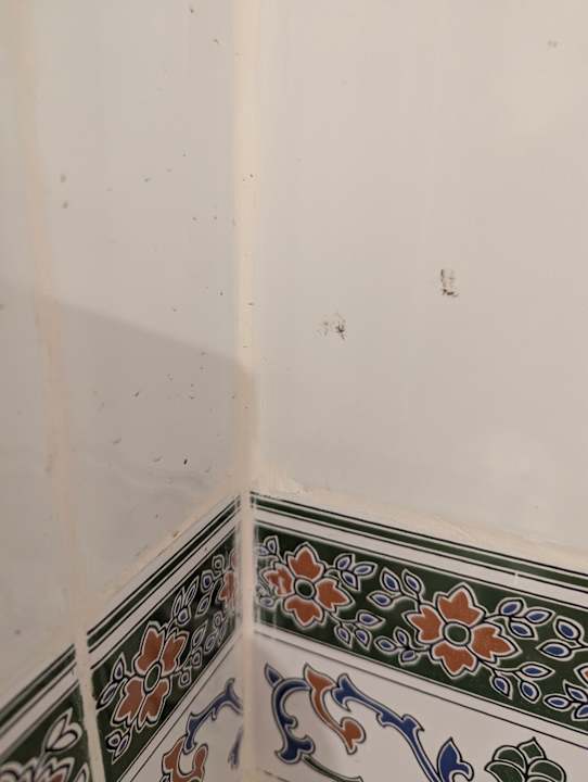 Zimmer Sunny Days Palma De Mirette Resort & Spa