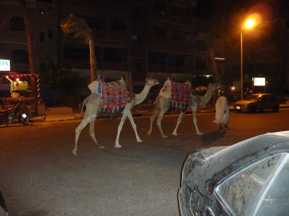 Kamele Lotus Bay Beach Resort