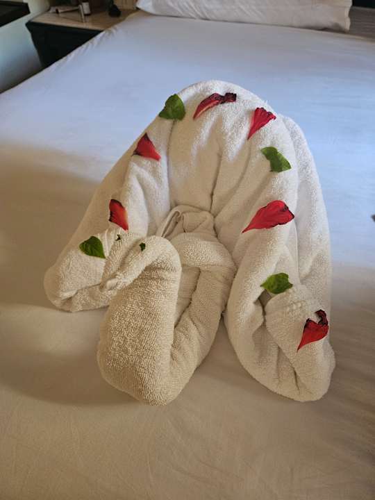 Zimmer Steigenberger Coraya Beach - Adults only