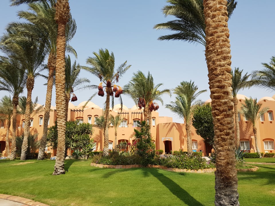 Gartenanlage Jaz Makadi Oasis Resort