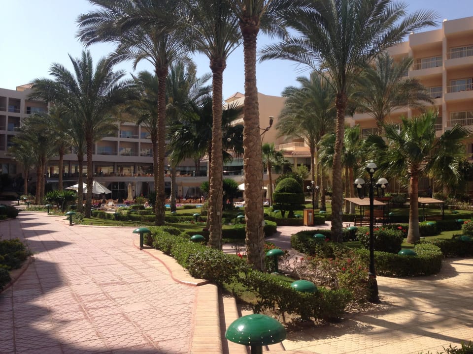 15 Sea Star Beau Rivage