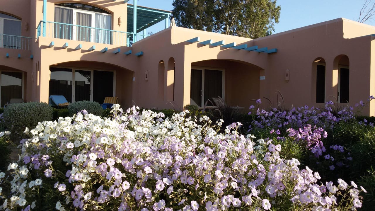 Terrassen Club Paradisio El Gouna, Red Sea
