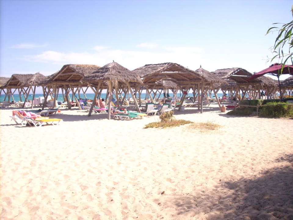 Super Strand The Orangers Beach Resort and Bungalows