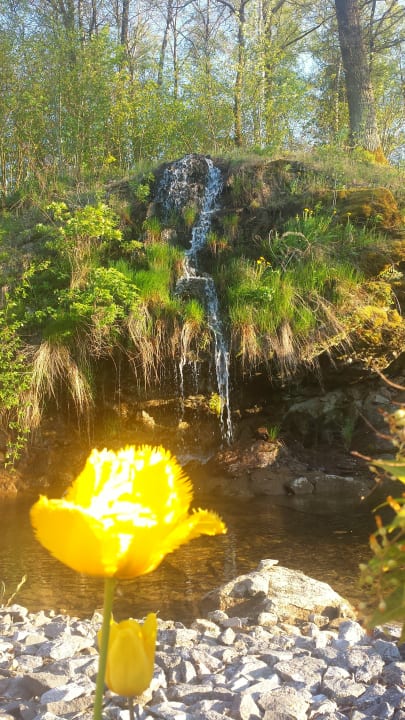 Gartenanlage Spirit & SPA Hotel Birkenhof am Elfenhain