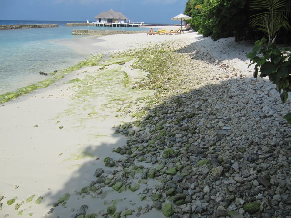 Strand NH Maldives Kuda Rah Resort