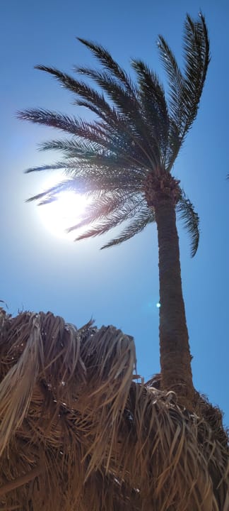 Sonstiges Serry Beach Resort