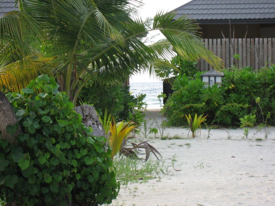 Aussicht Kuredu Island Resort & Spa