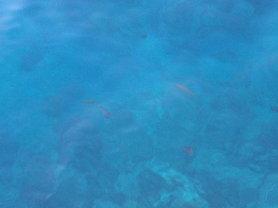 Klares Meer Beach Albatros Resort