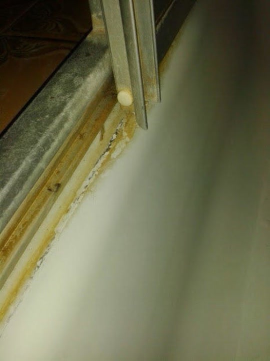 Duschkabine - unsauber, unhygienisch und eklig! Gasthof Naturfreundehaus Am Hahnenschnabel