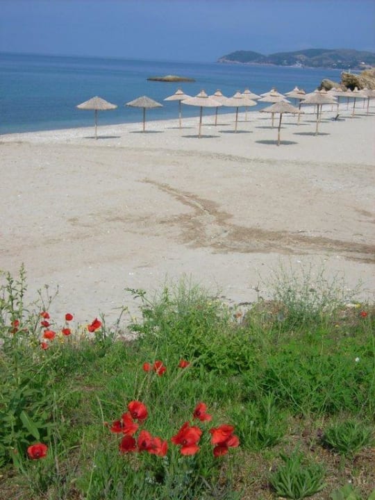 Aussicht auf den Strand Alexandra Beach Thassos Spa Resort