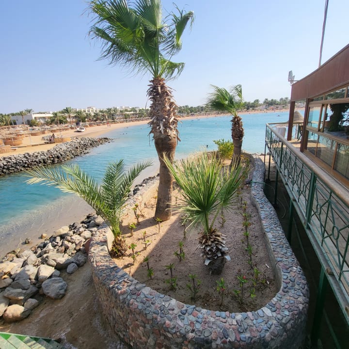 Ausblick Desert Rose