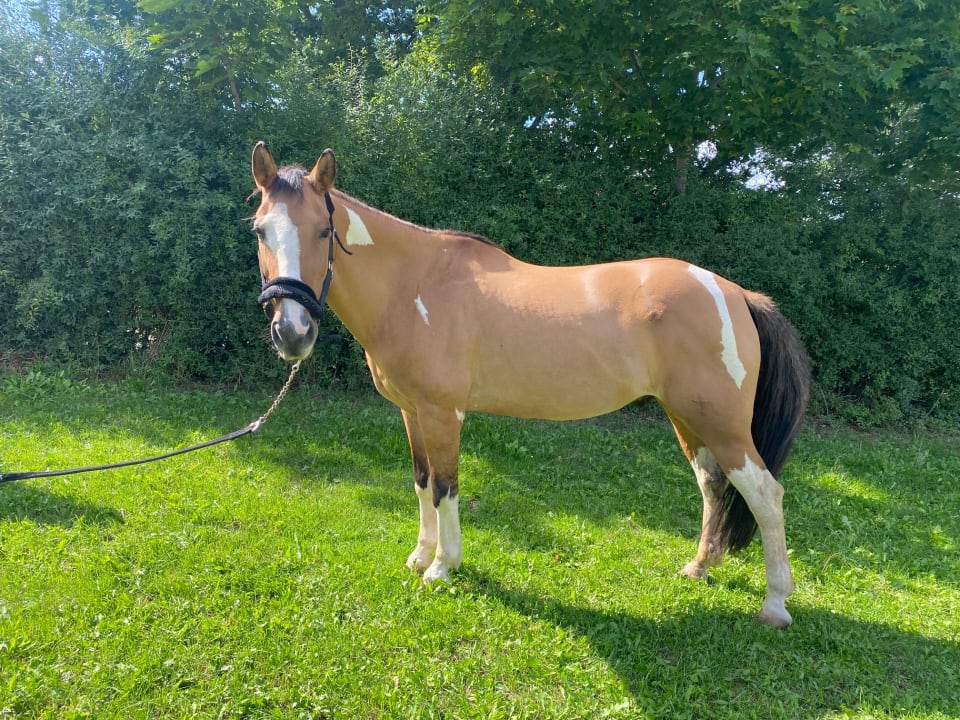 Sport & Freizeit Rennerhof-Siebeneichen