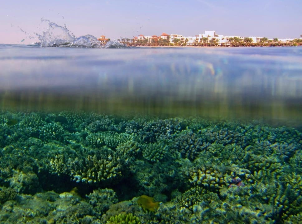 Außenansicht vom Wasser Hotel Kempinski Soma Bay