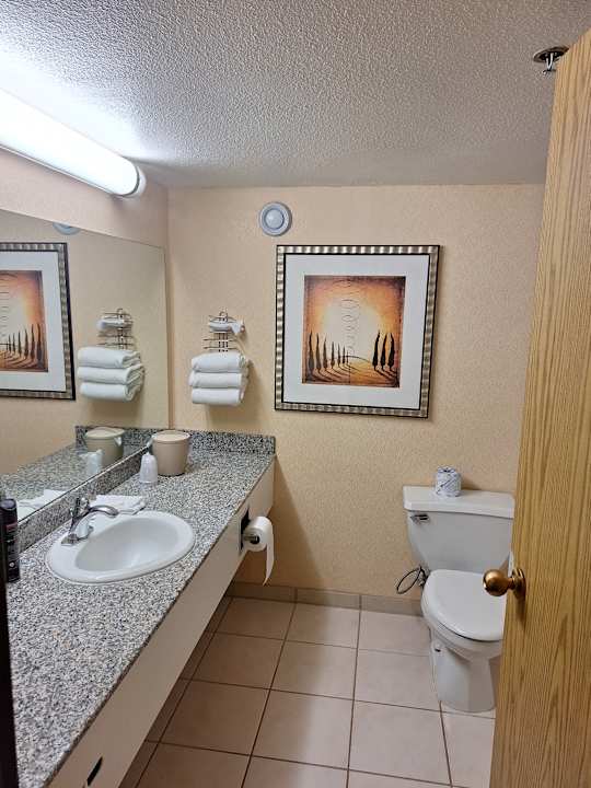 Zimmer Hotel Circus Circus