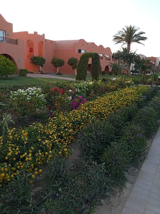 Gartenanlage Novotel Marsa Alam Beach Resort