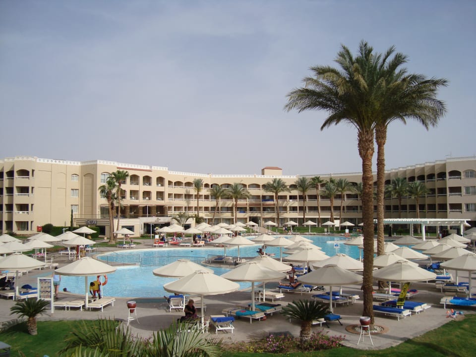 Pool Beach Albatros Resort