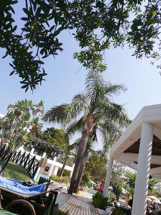 Gartenanlage Hotel Calypso Beach