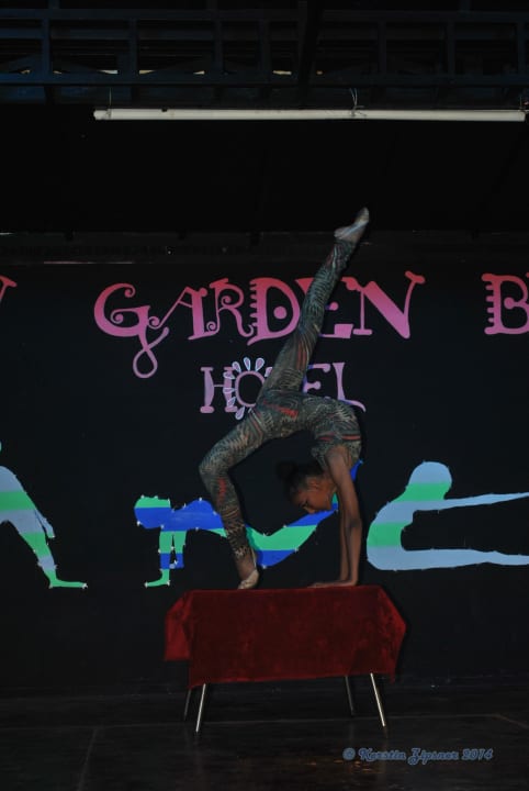 Animationsprogramm Can Garden Beach