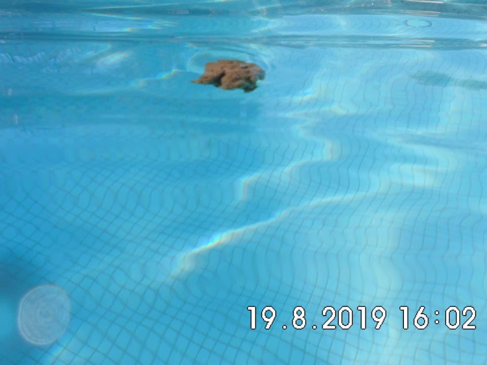 Pool The Grand Hotel Sharm El Sheikh