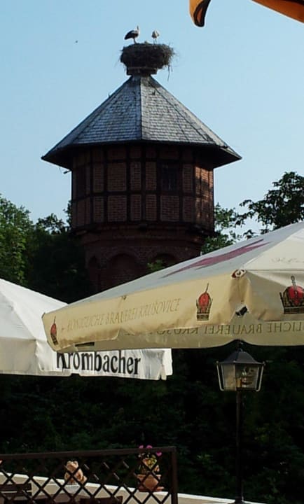 Storchennest vom Hotel Landhotel Storchenkrug
