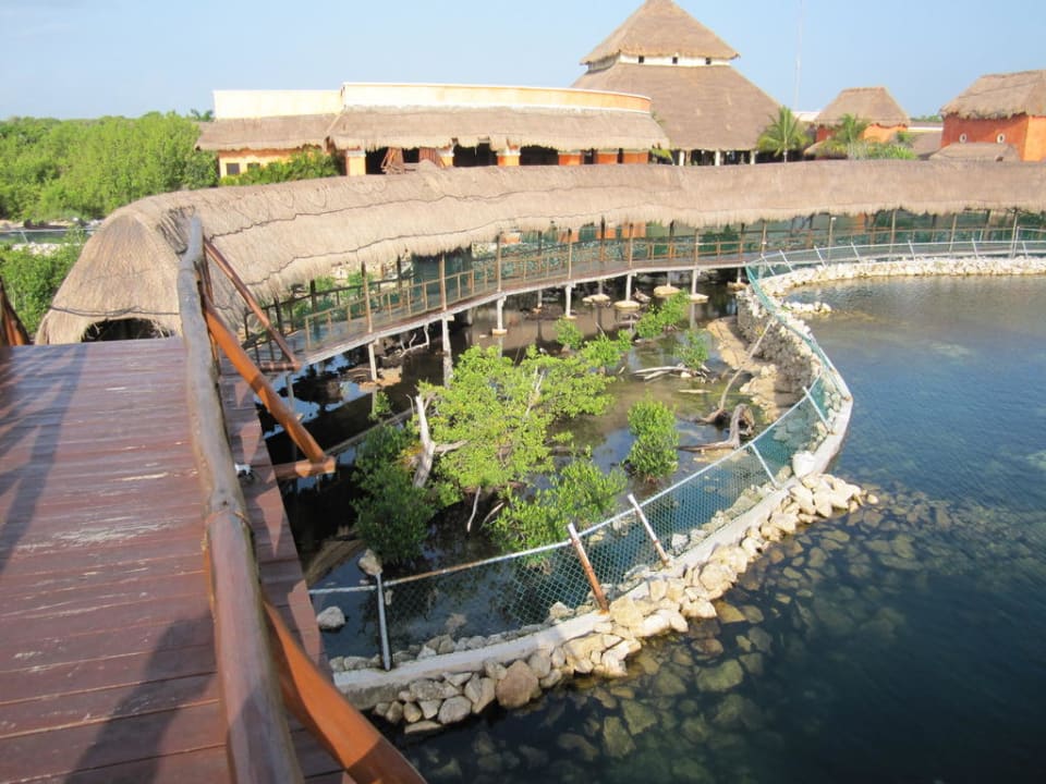 Wege durch die Anlage TRS Yucatan Hotel - Adults only