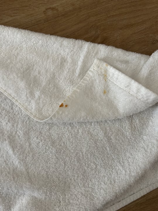 Zimmer Sunscape Dominicus La Romana