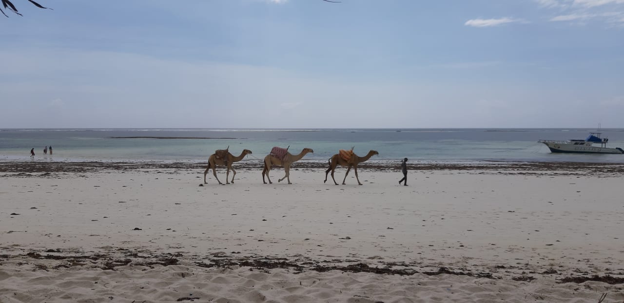 Strand African Dream Cottages