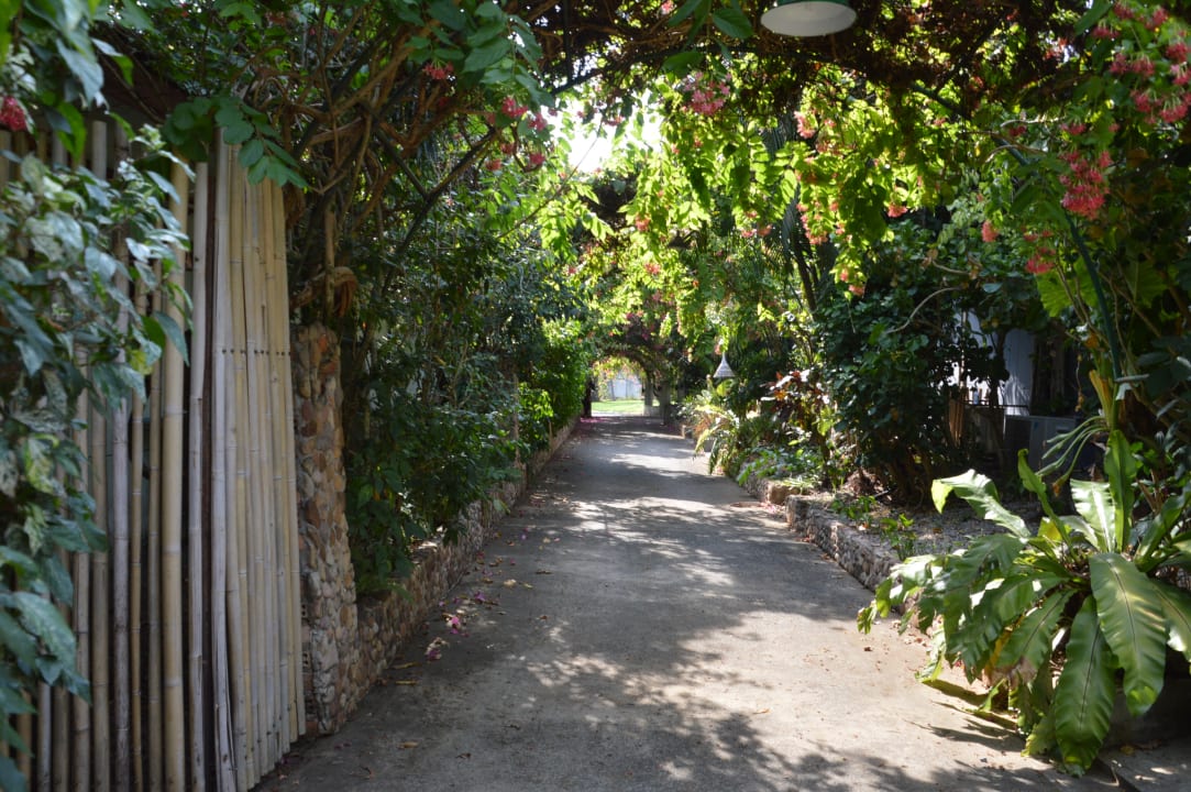 Gartenanlage Beyond Krabi