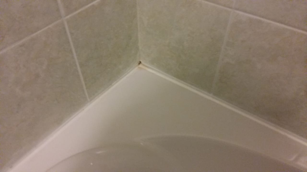 Zimmer Hotel Agricola