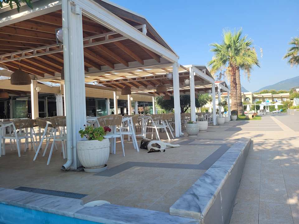 Gastro alltoura Club Hotel Poseidon Palace