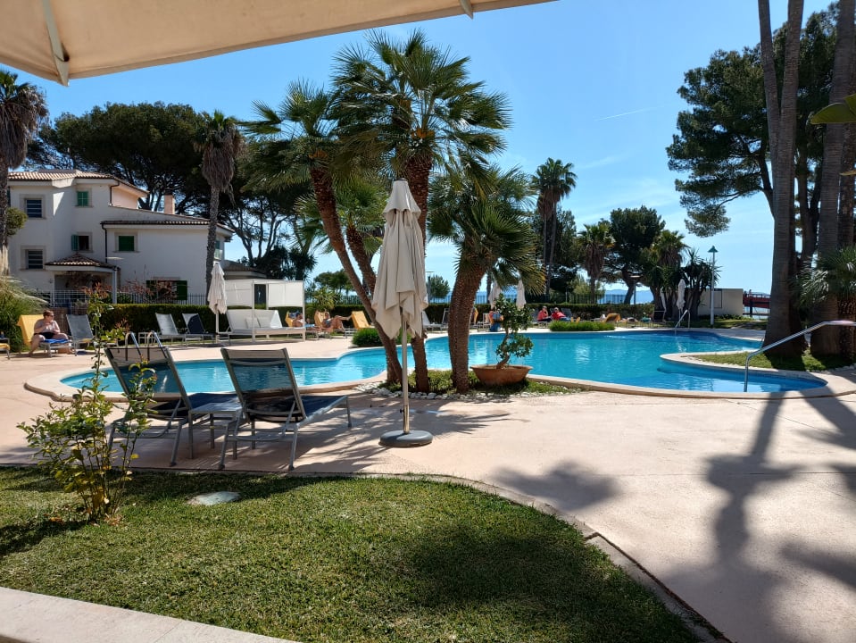 Pool allsun App.-Hotel Orquidea Playa