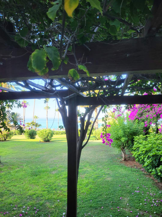 Gastro Hotel Nissi Beach Resort