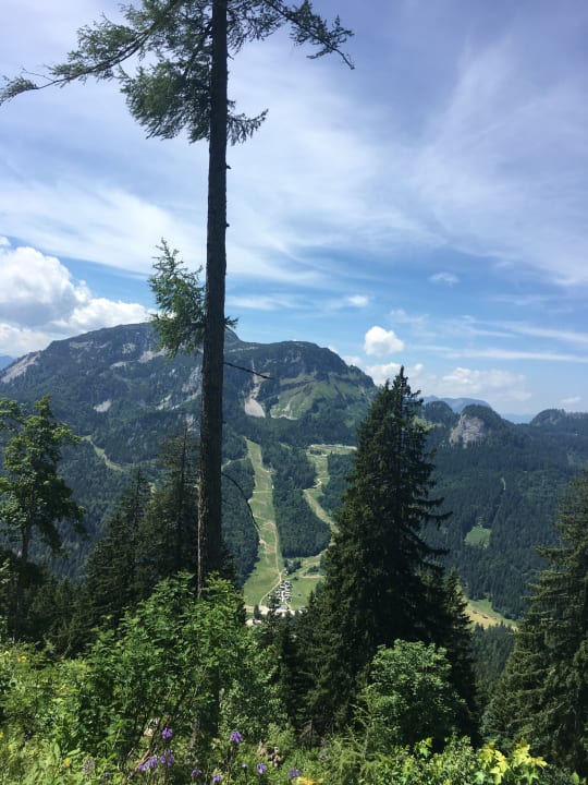 Ausblick AlpenParks Hagan Lodge