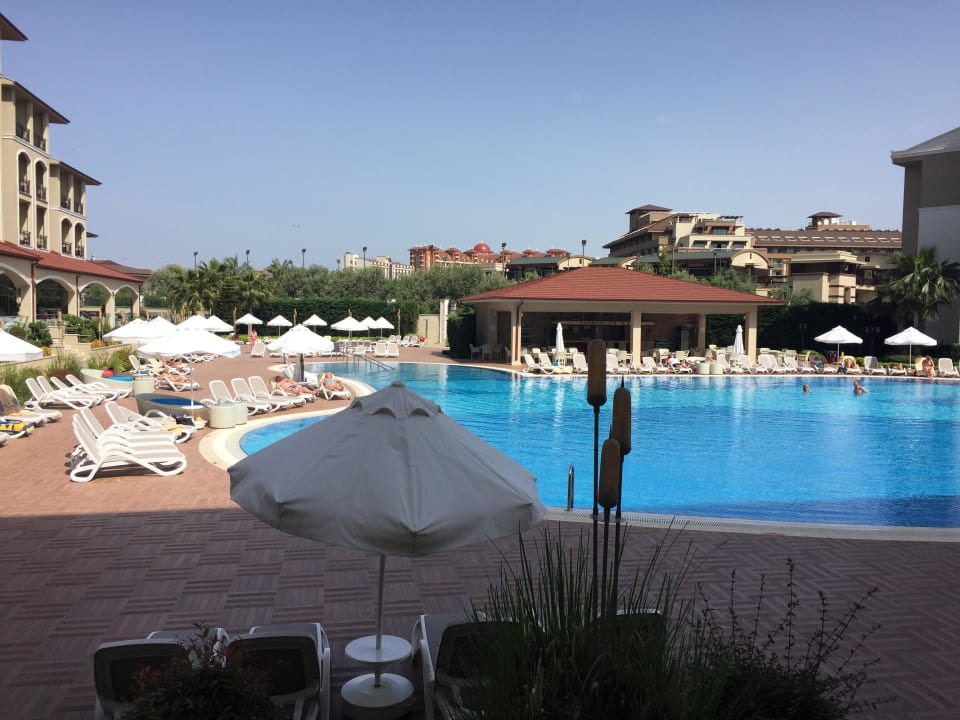 Pool Paloma Oceana